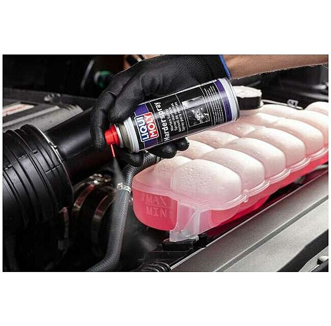 Liqui Moly Marten Spray (200ml)