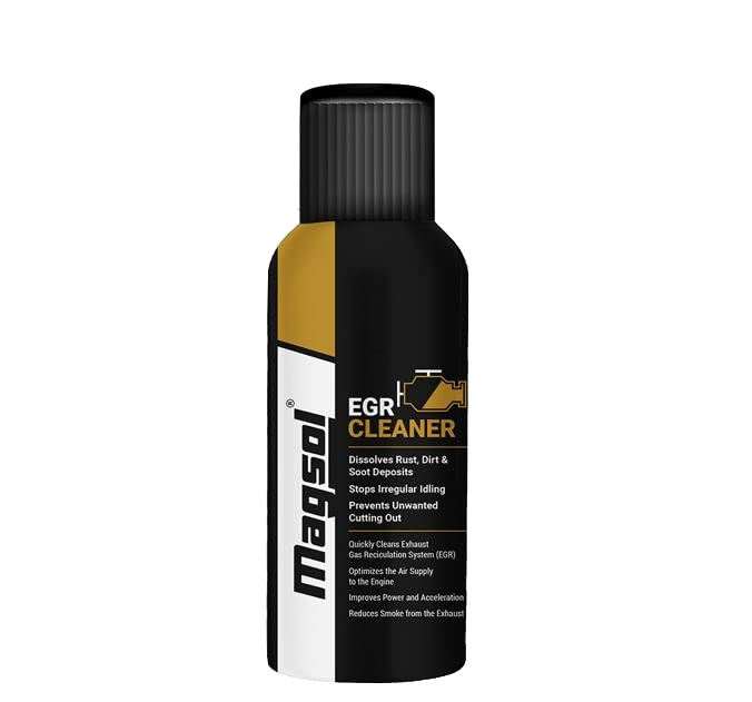 Magsol EGR cleaner (100ml)