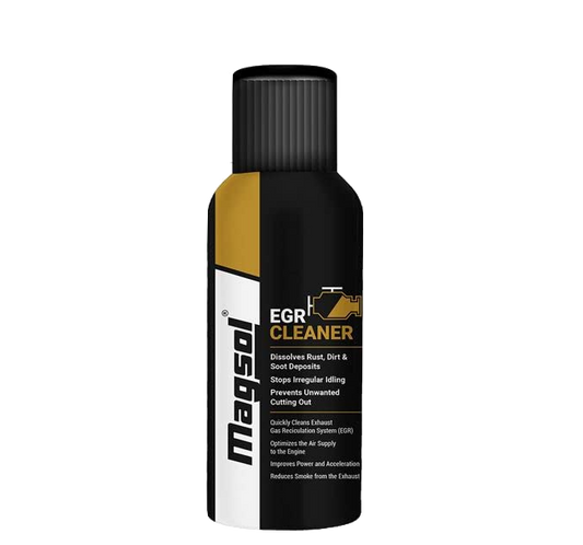 Magsol EGR cleaner (100ml)